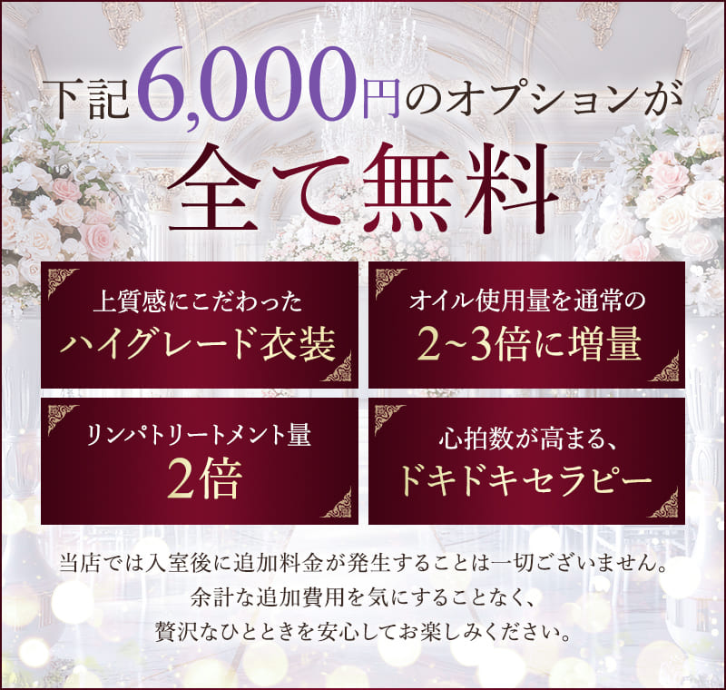下記6,000円のオプションが全て無料